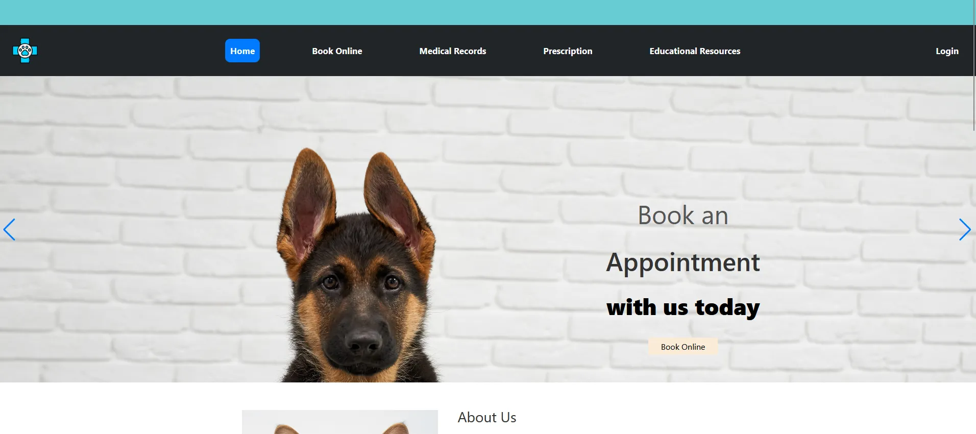 VetCare Platform screenshot